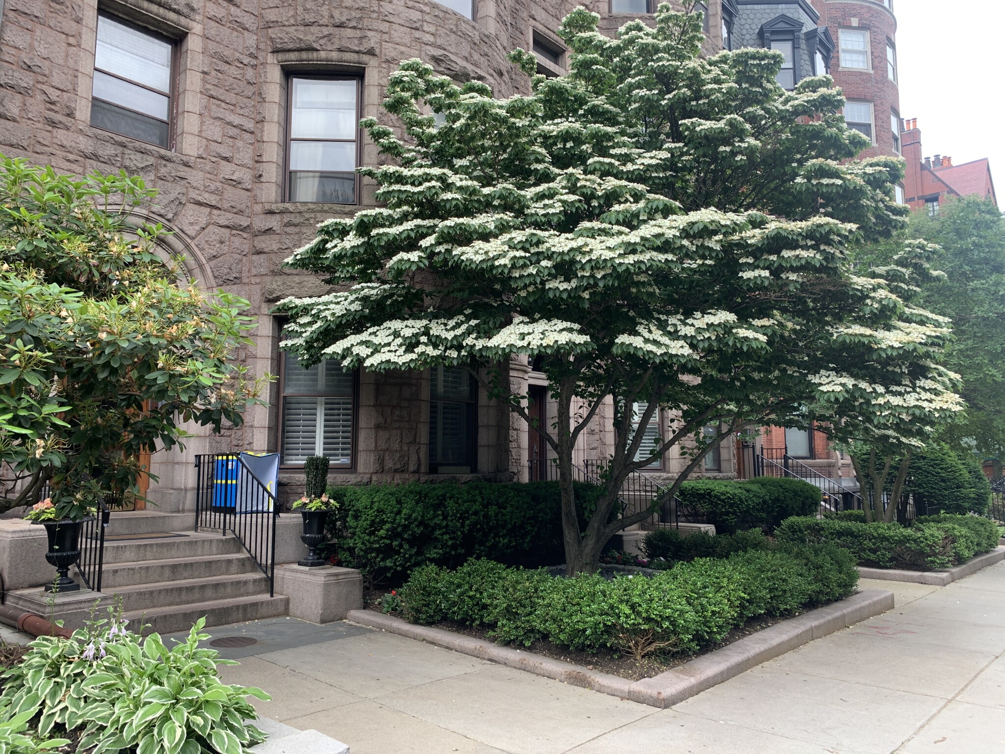 186 Commonwealth Ave, Back Bay