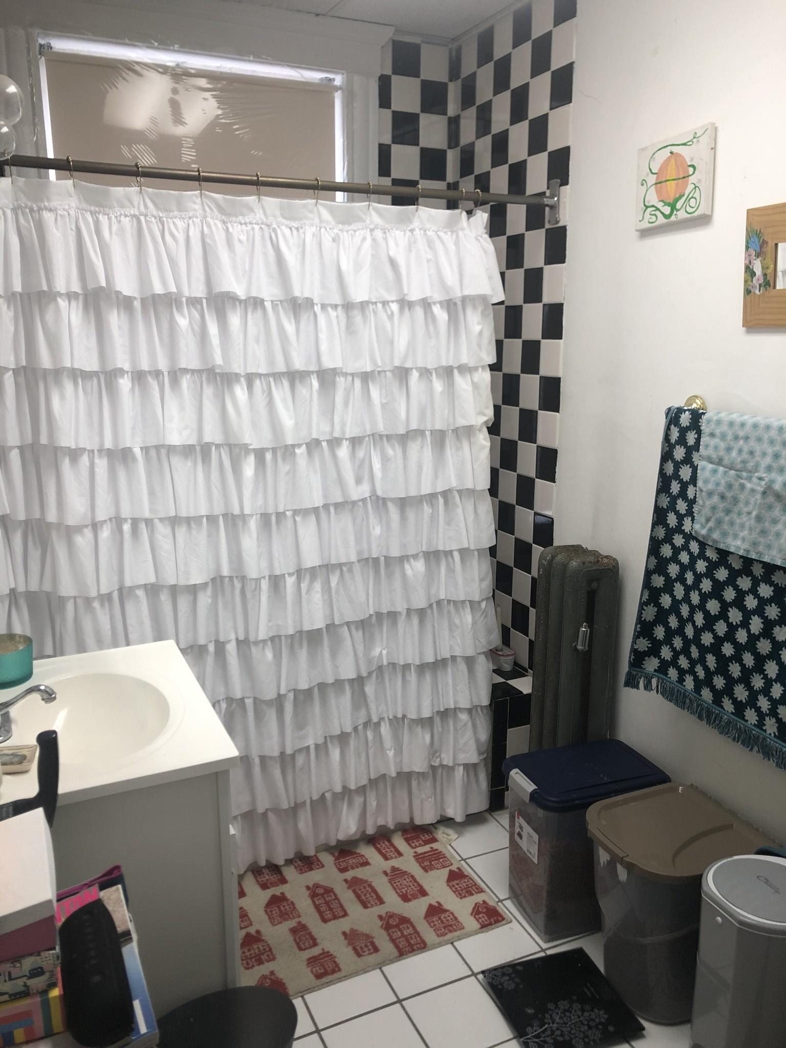 1 bed, 1 bath apartment for rent at 10 Lothian Rd Unit 7, Allston — photo 2 of 8