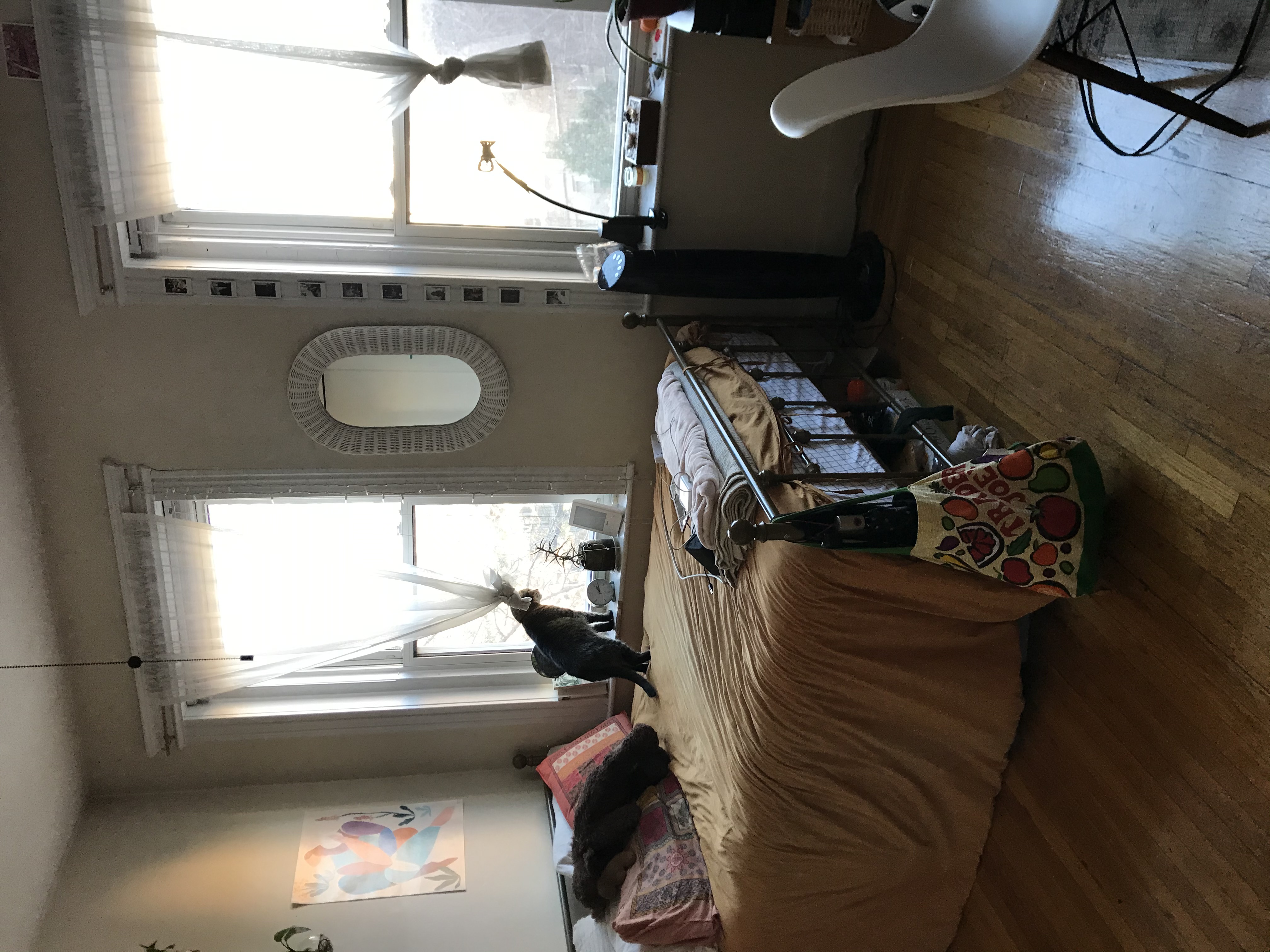 2 bed, 1 bath apartment for rent at 126 Warren St Unit 22, Brighton