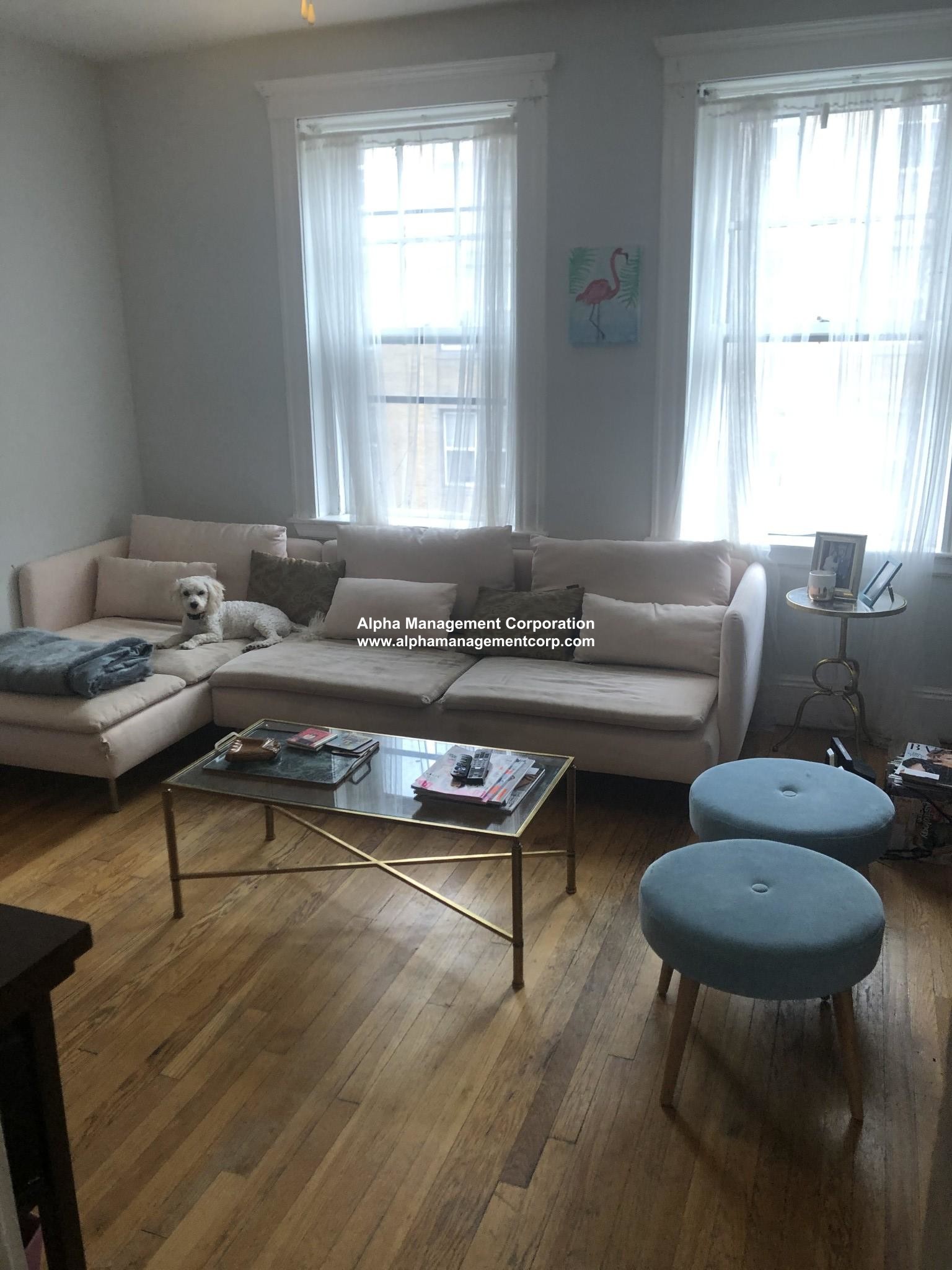 Photos of apartment on Gordon St.,Boston MA 02135