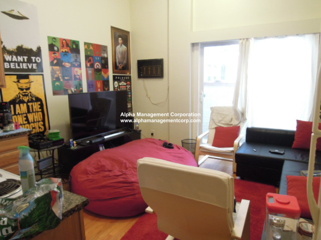 49 Symphony Rd, Fenway