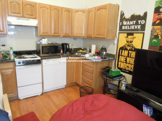 49 Symphony Rd, Fenway