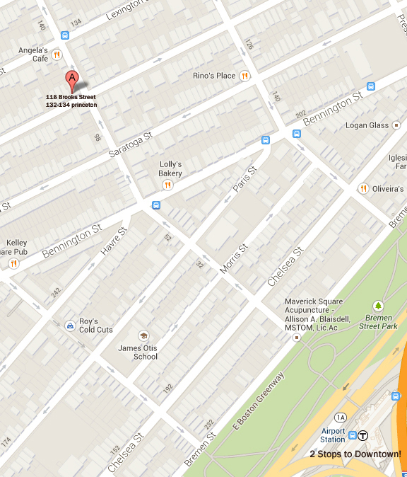 132 Princeton St, East Boston