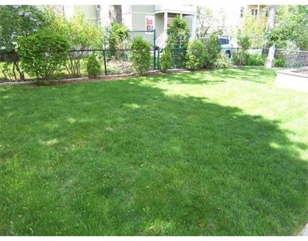 66 Brock St, Oak Square