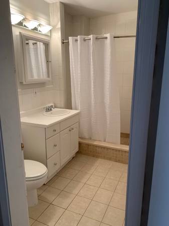 5 bed, 3 bath apartment for rent at 32 Channing St Unit 1, Newton — photo 29 of 46