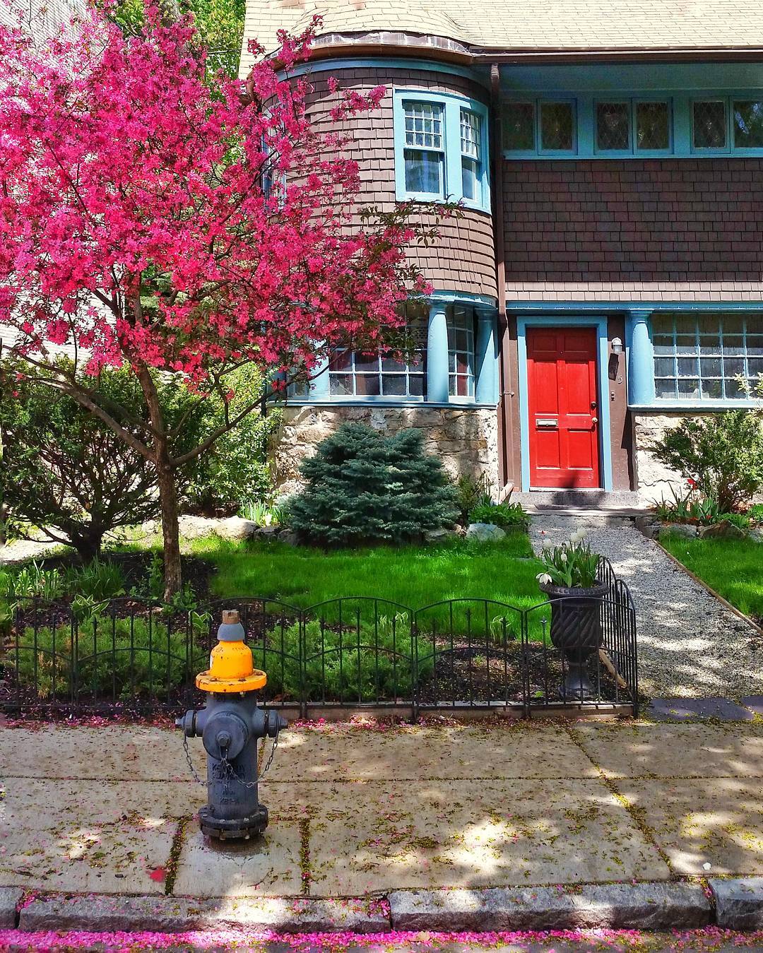 1 bed, 1 bath apartment for rent at 110 Strathmore Rd Unit 303, Brighton — photo 8 of 8