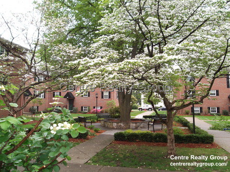 2 bed, 1 bath apartment for rent at 131 North St Unit D, Newtonville — photo 4 of 7
