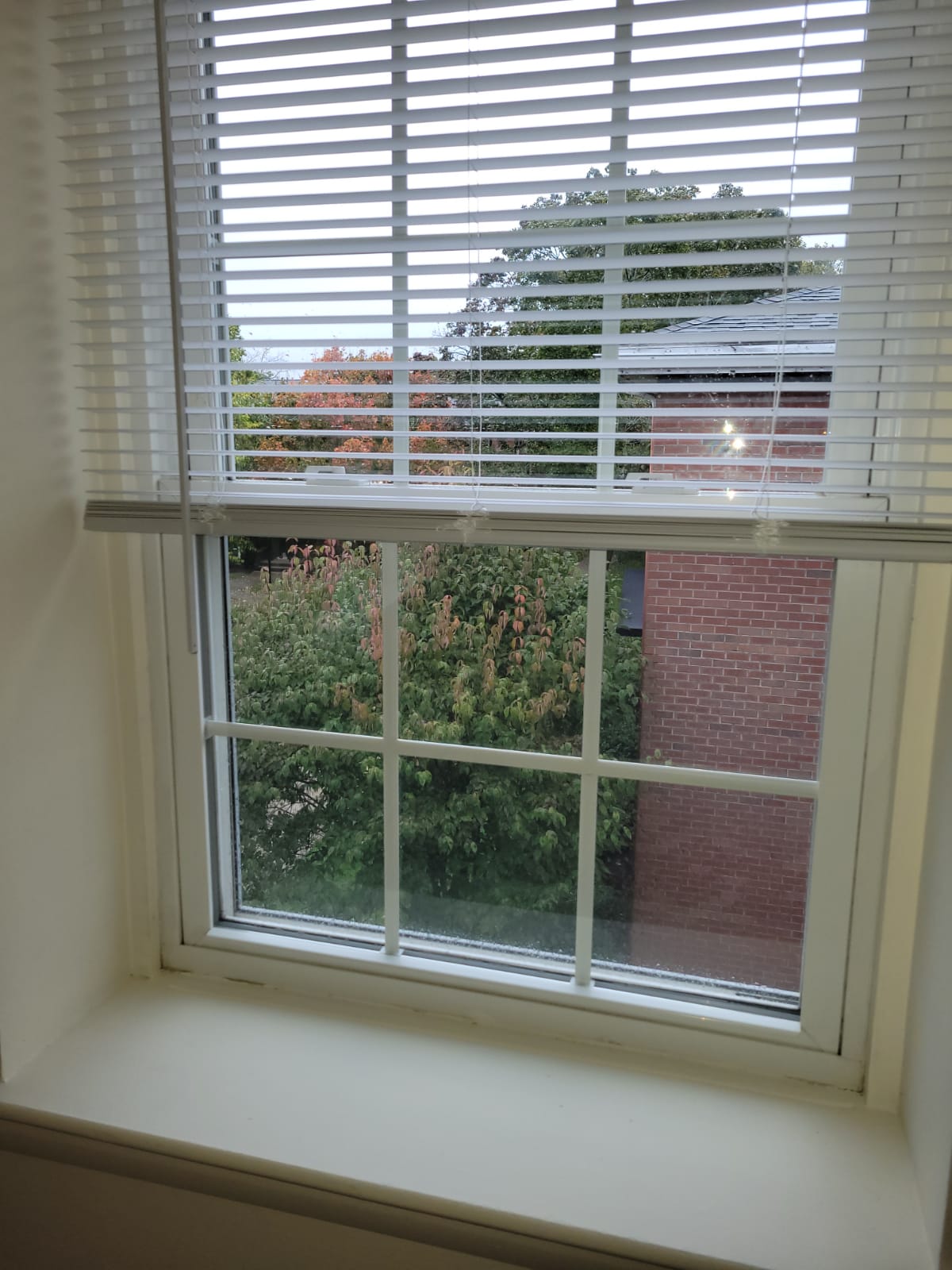 1 bed, 1 bath apartment for rent at 101 Farwell St Unit D, Newtonville — photo 13 of 18