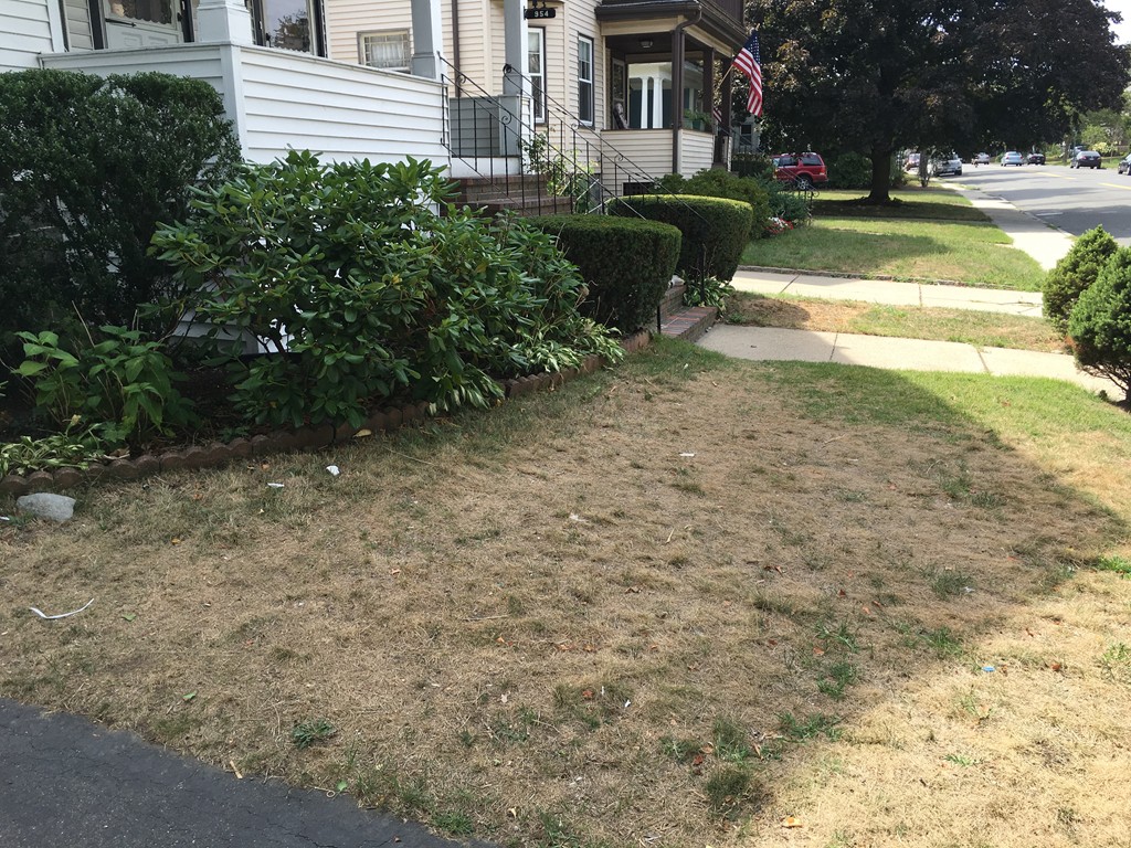 954 South, Roslindale