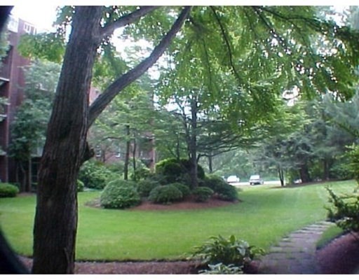 50 56 Broadlawn Park, West Roxbury