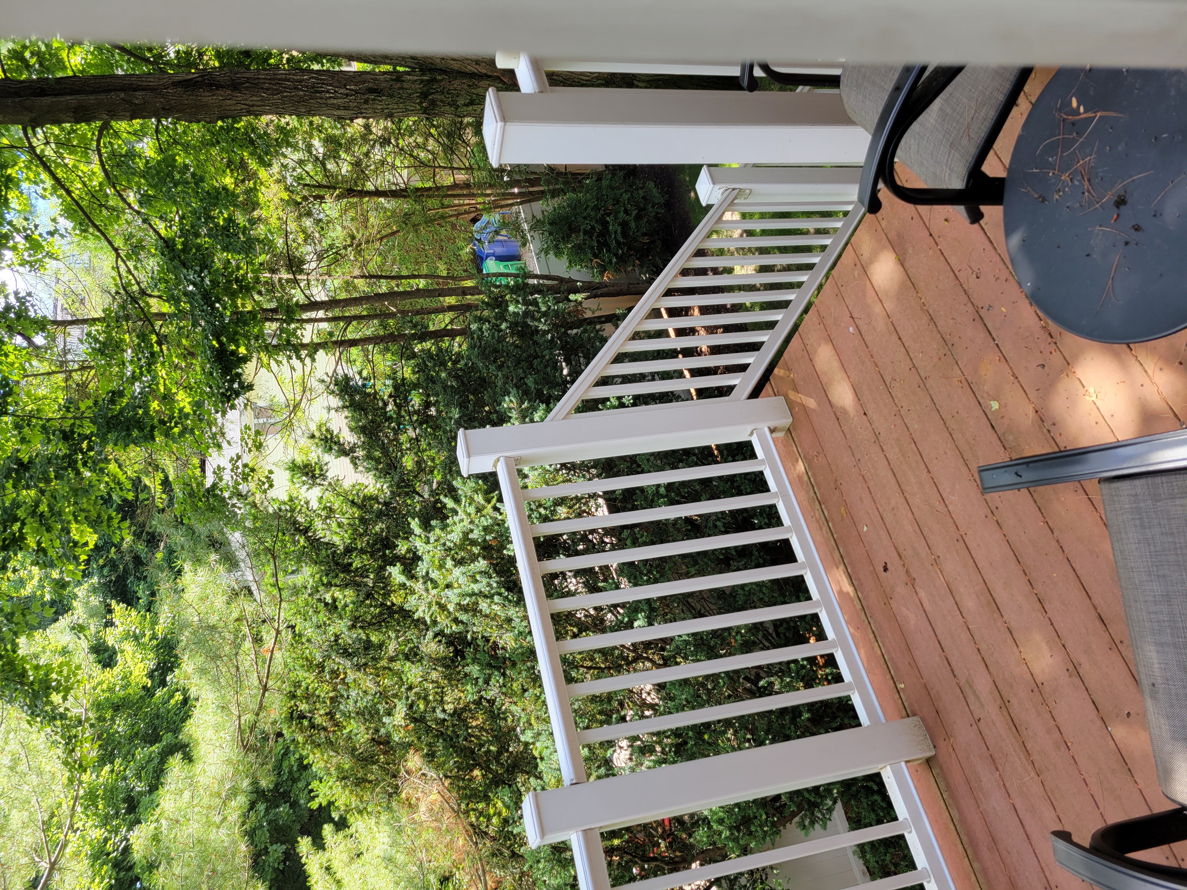 51 Jackson St, Newton