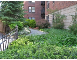 1945 Commonwealth Ave, Brighton