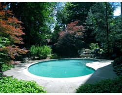 1945 Commonwealth Ave, Brighton