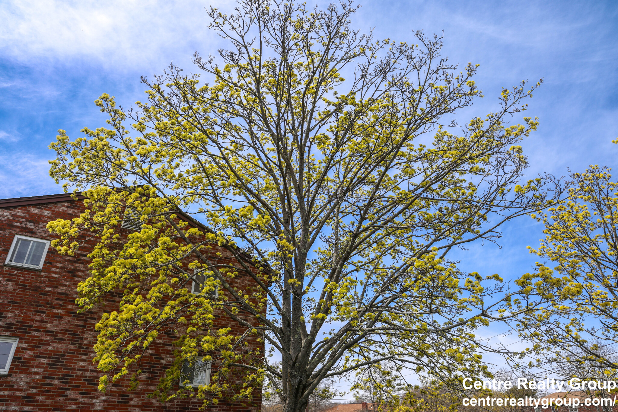 8 Bryon Rd, West Roxbury