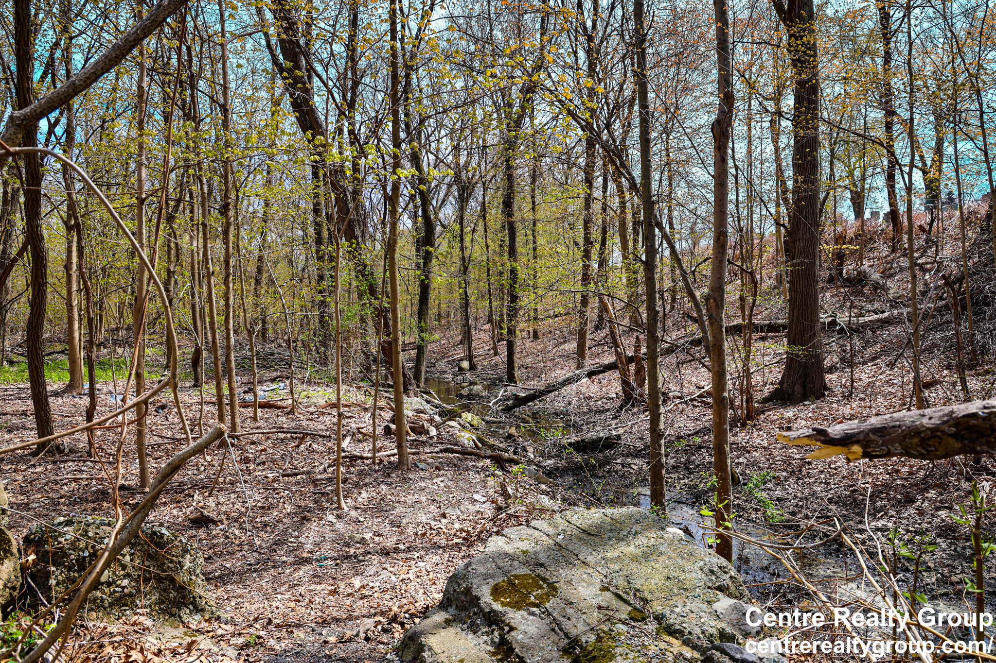 8 Bryon Rd, West Roxbury