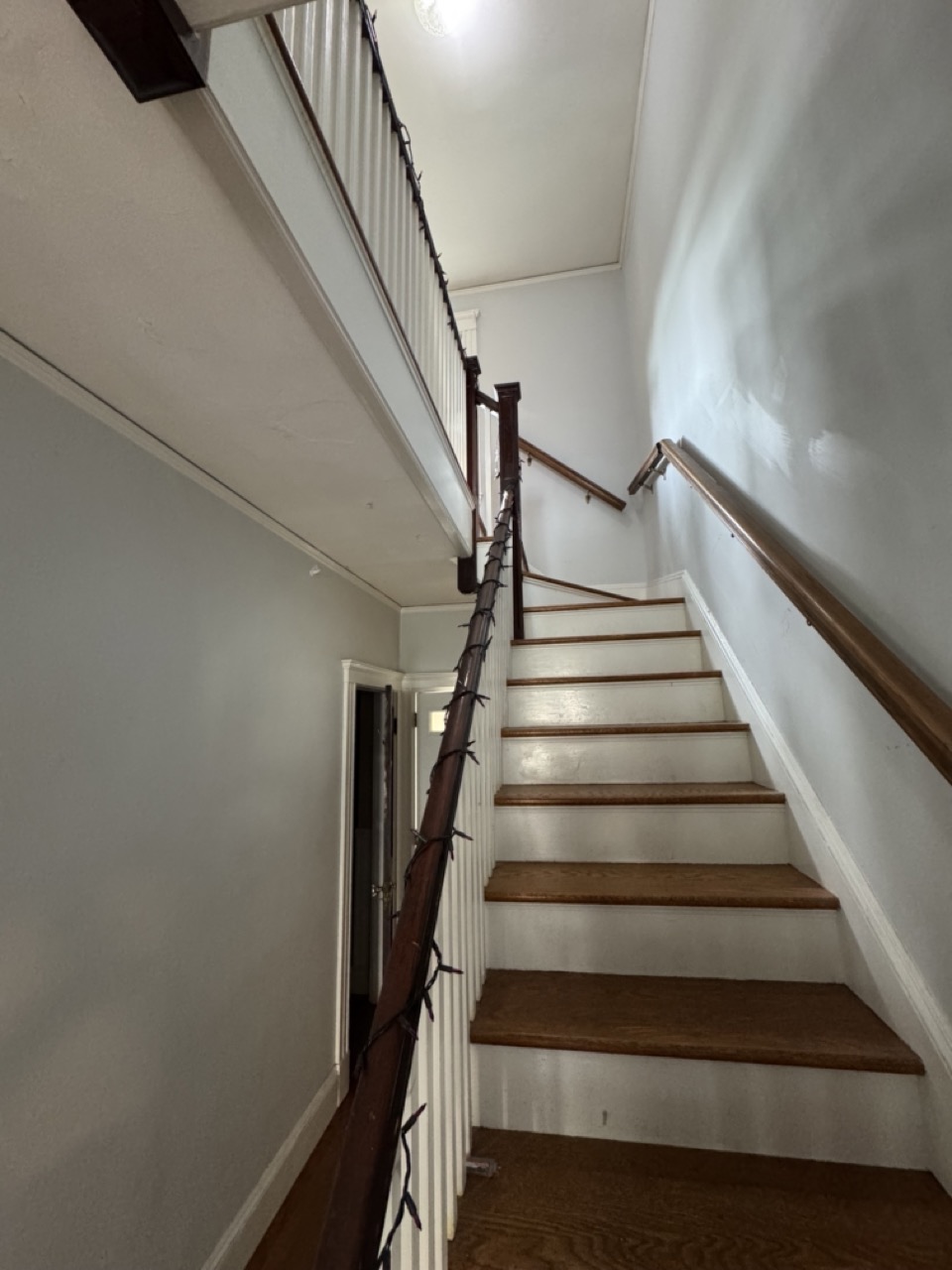 35 Saint Clements Rd, Tufts University