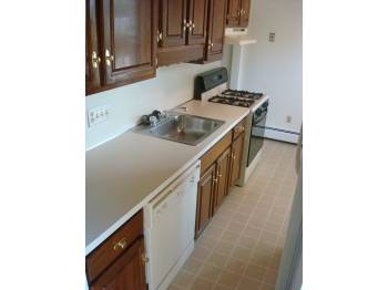 21 Rustic Ave, Newton Corner