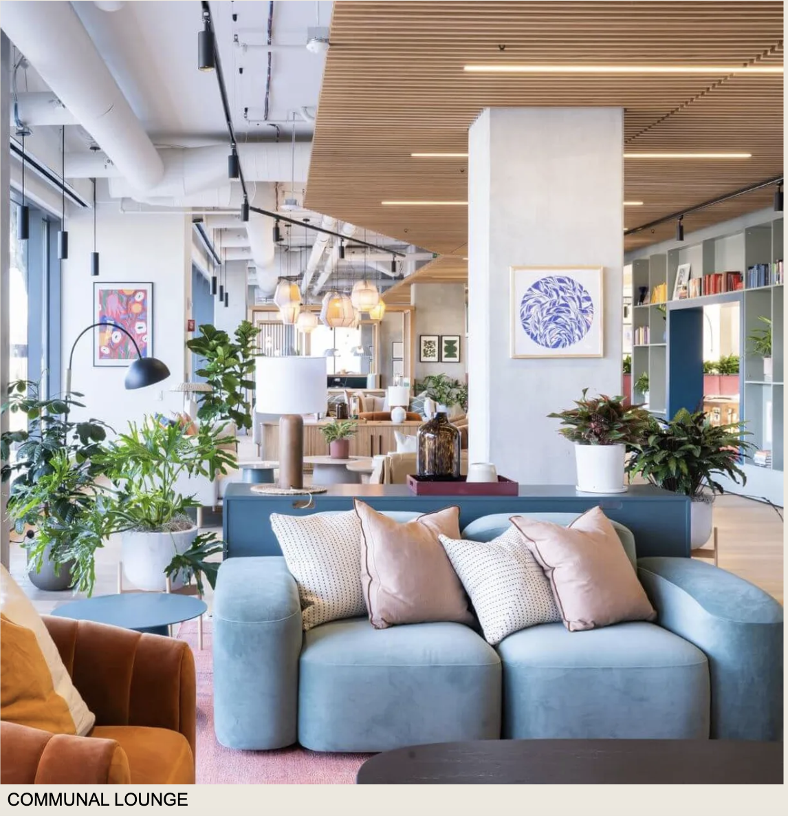 https://ygl-photos.s3.us-west-004.backblazeb2.com/3596O67ba7856757ca.png