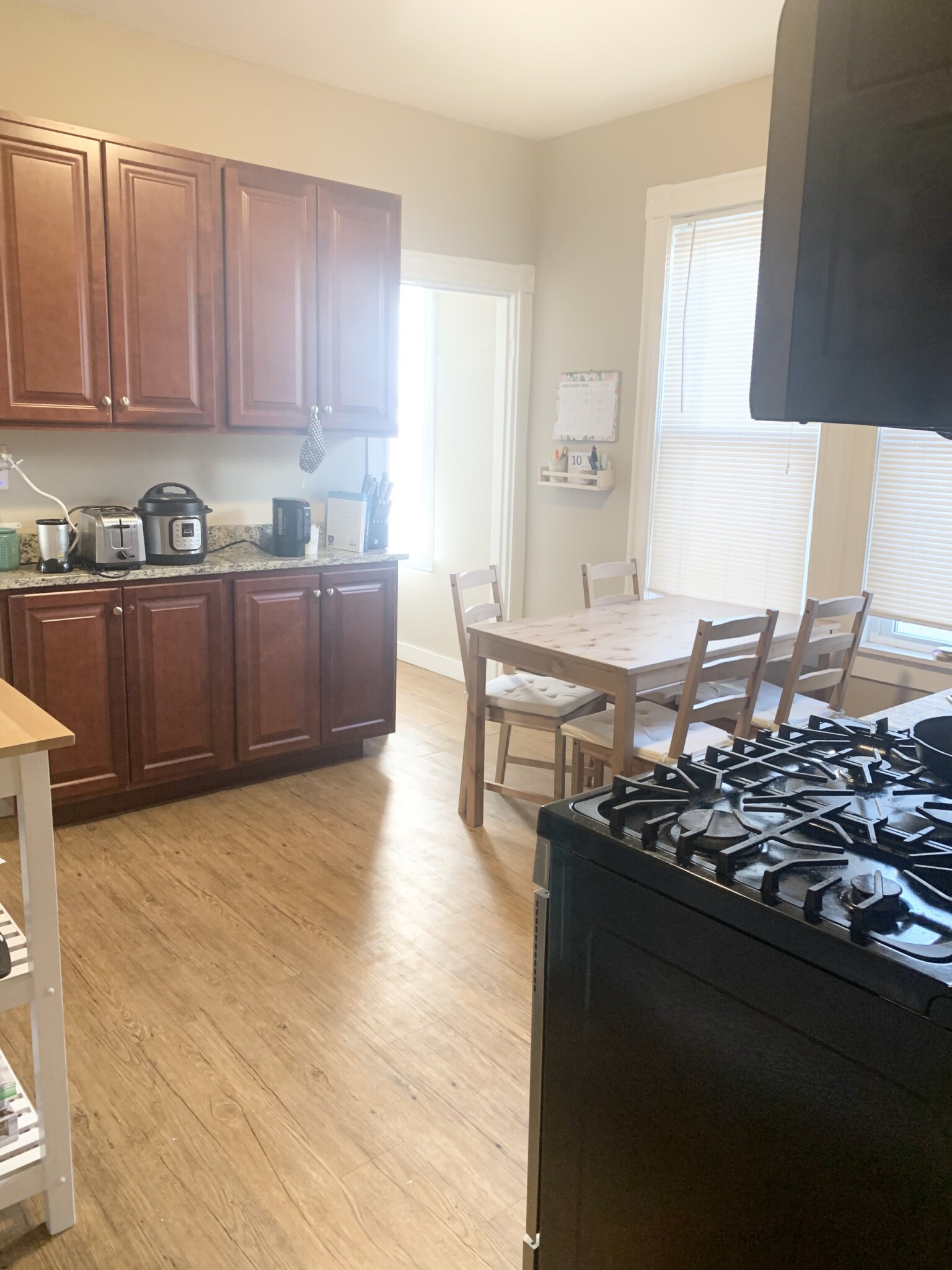 6 8 Sunset St, Mission Hill