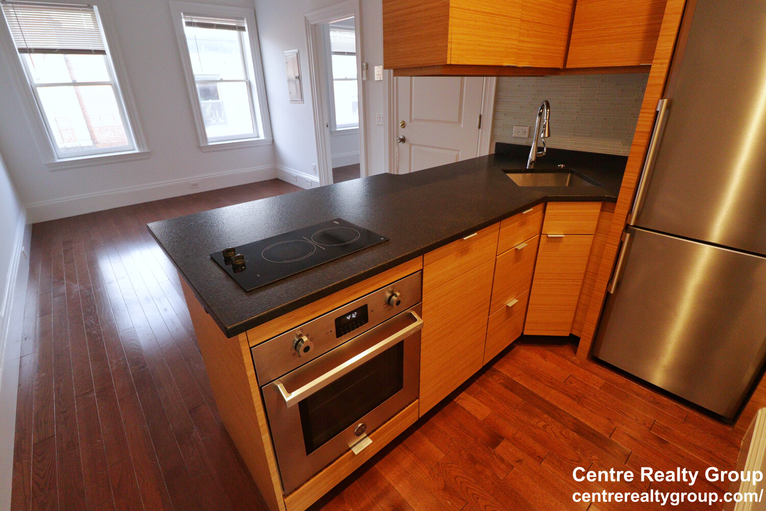 98 Myrtle St, Beacon Hill