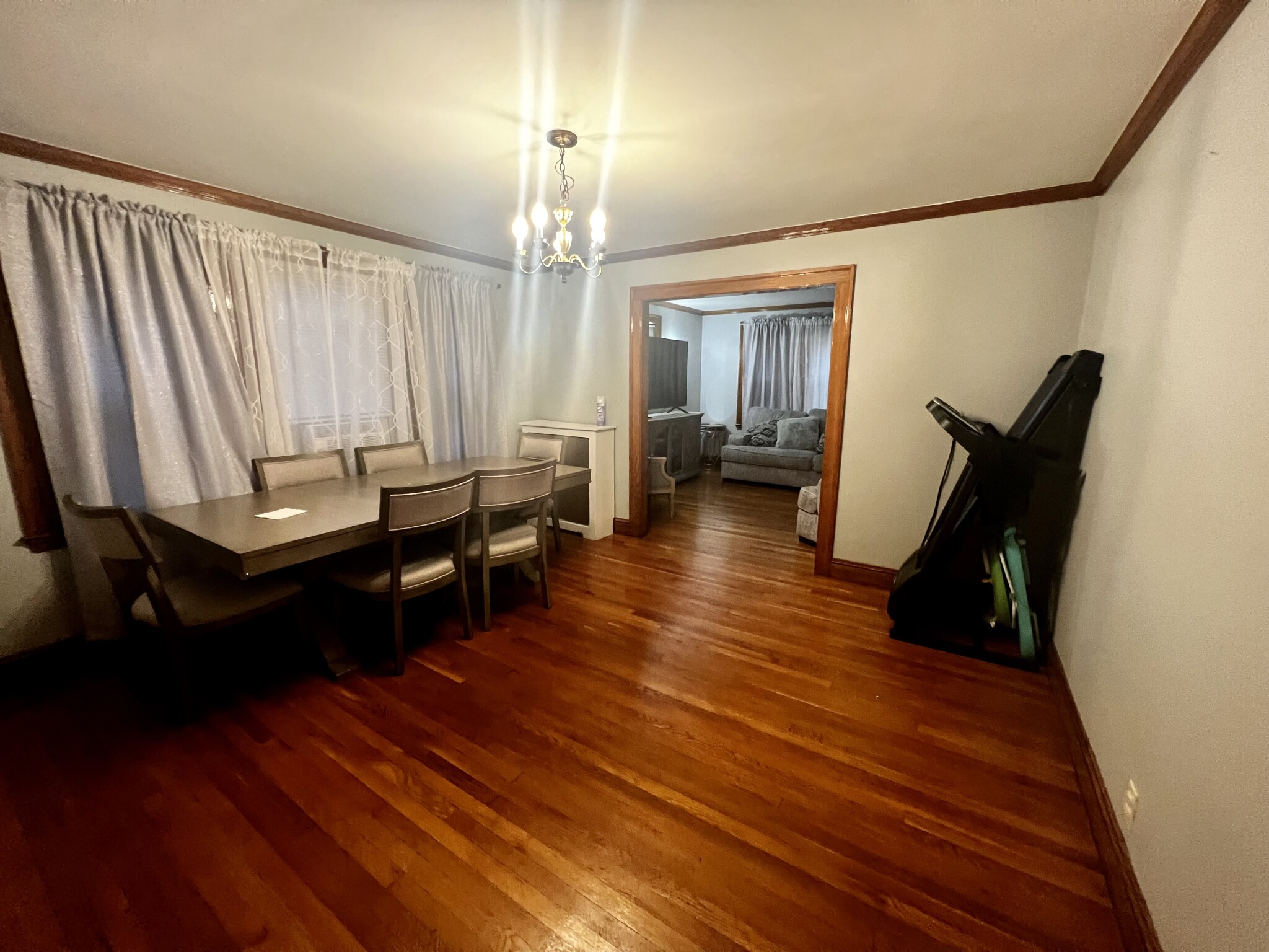 17 Zeller, Roslindale