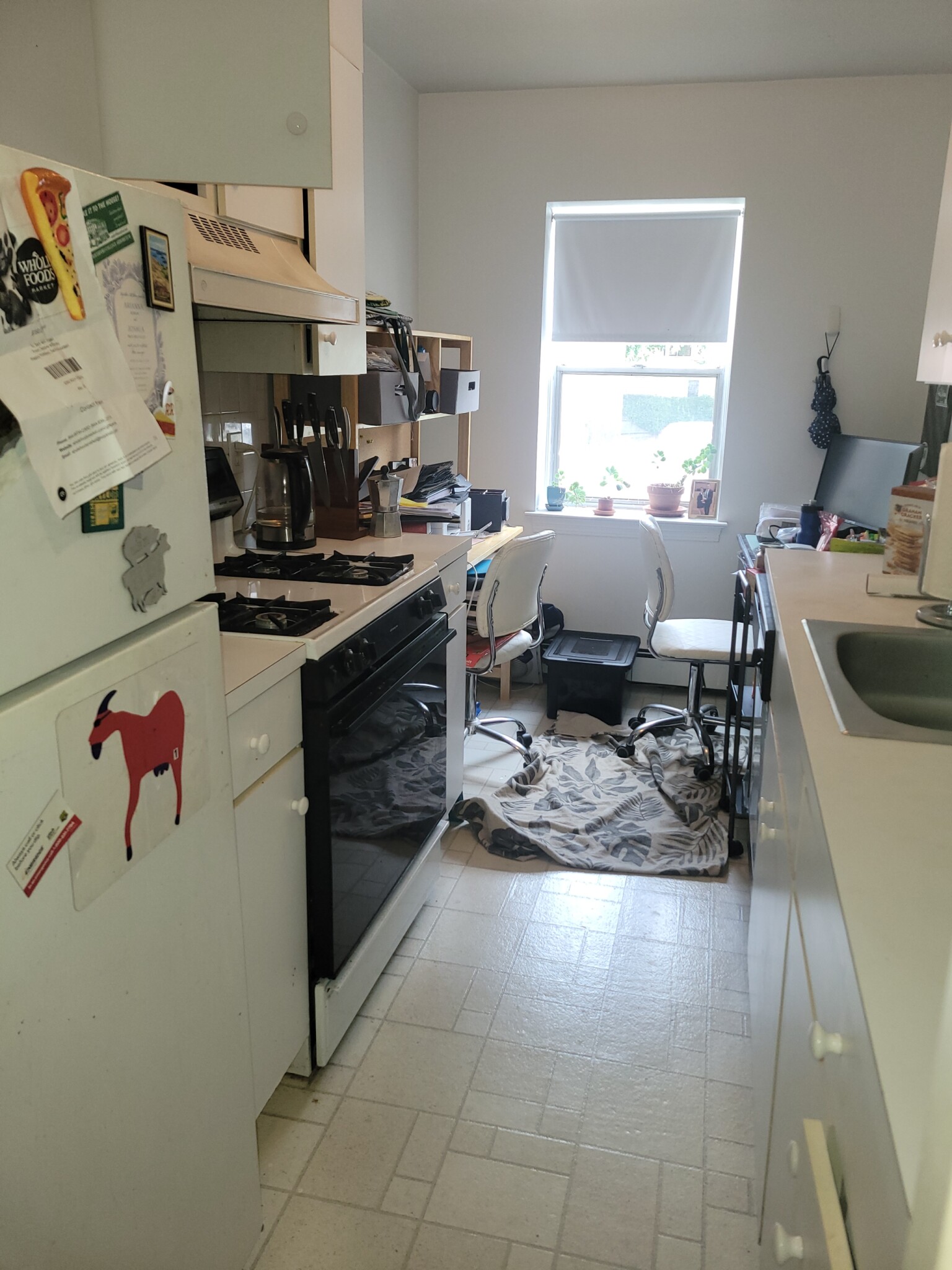 483 Centre St, Newton Corner