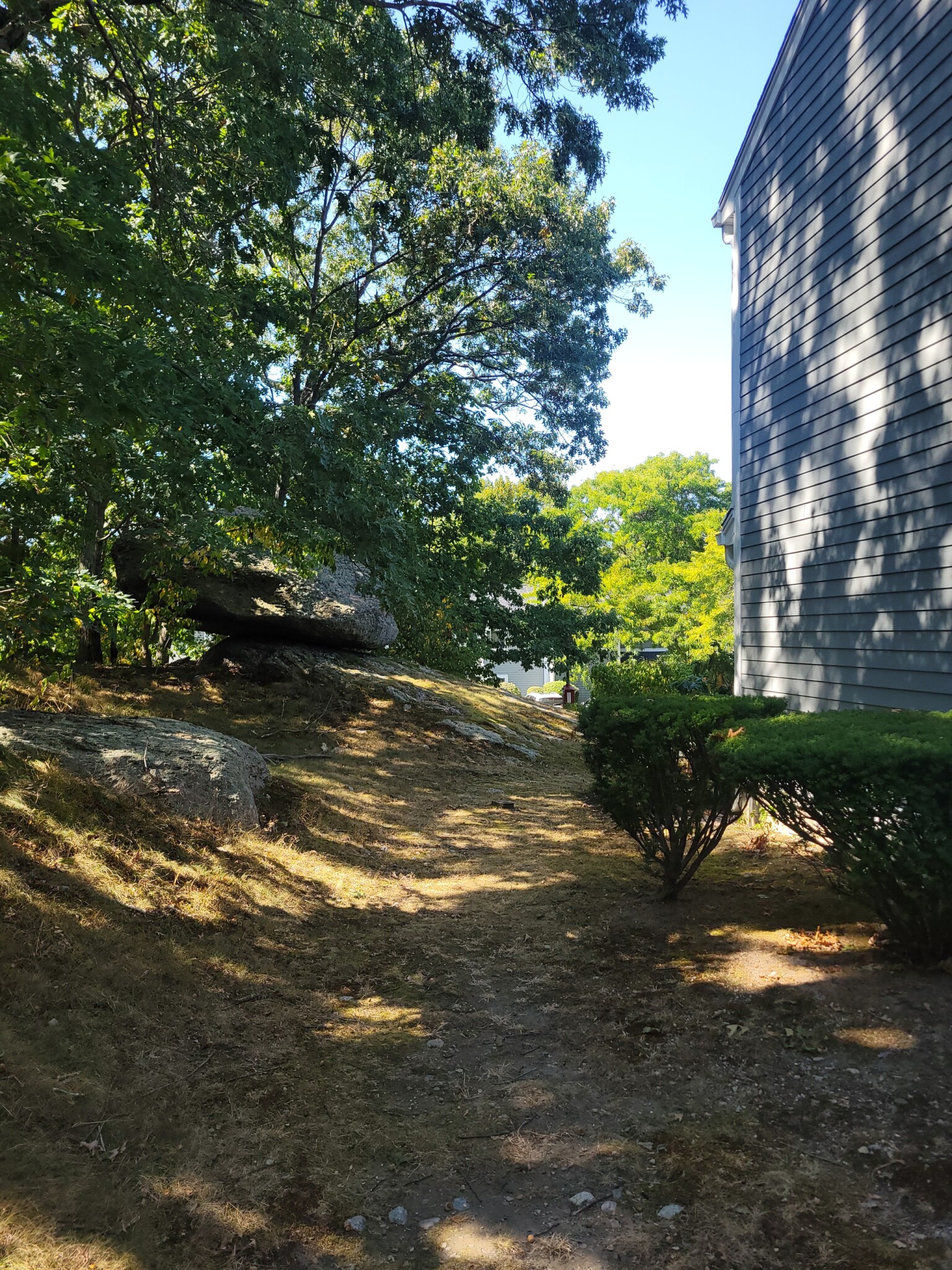 73 Hamlet St, Newton Center