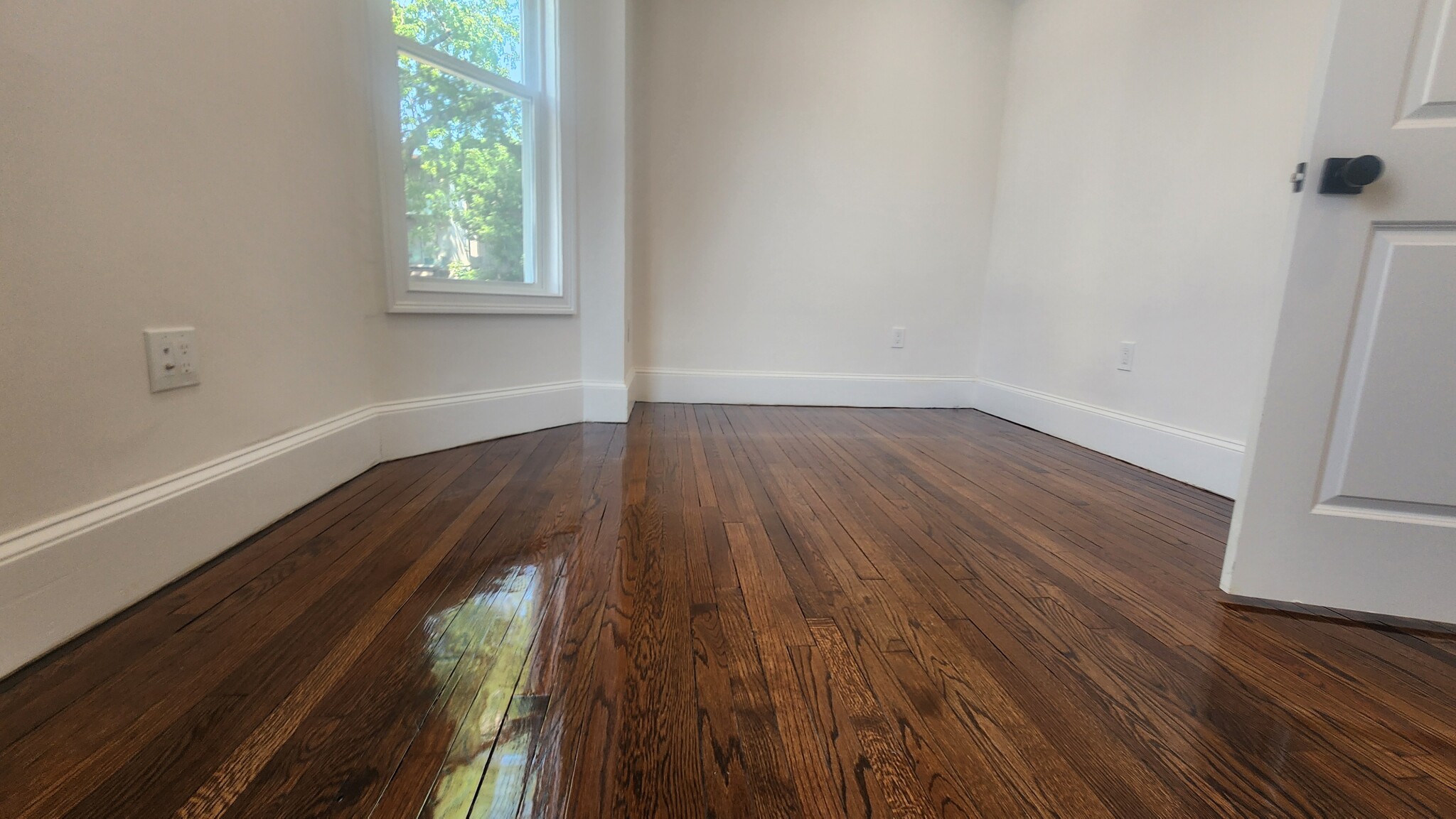 11 Wyoming, Dorchester