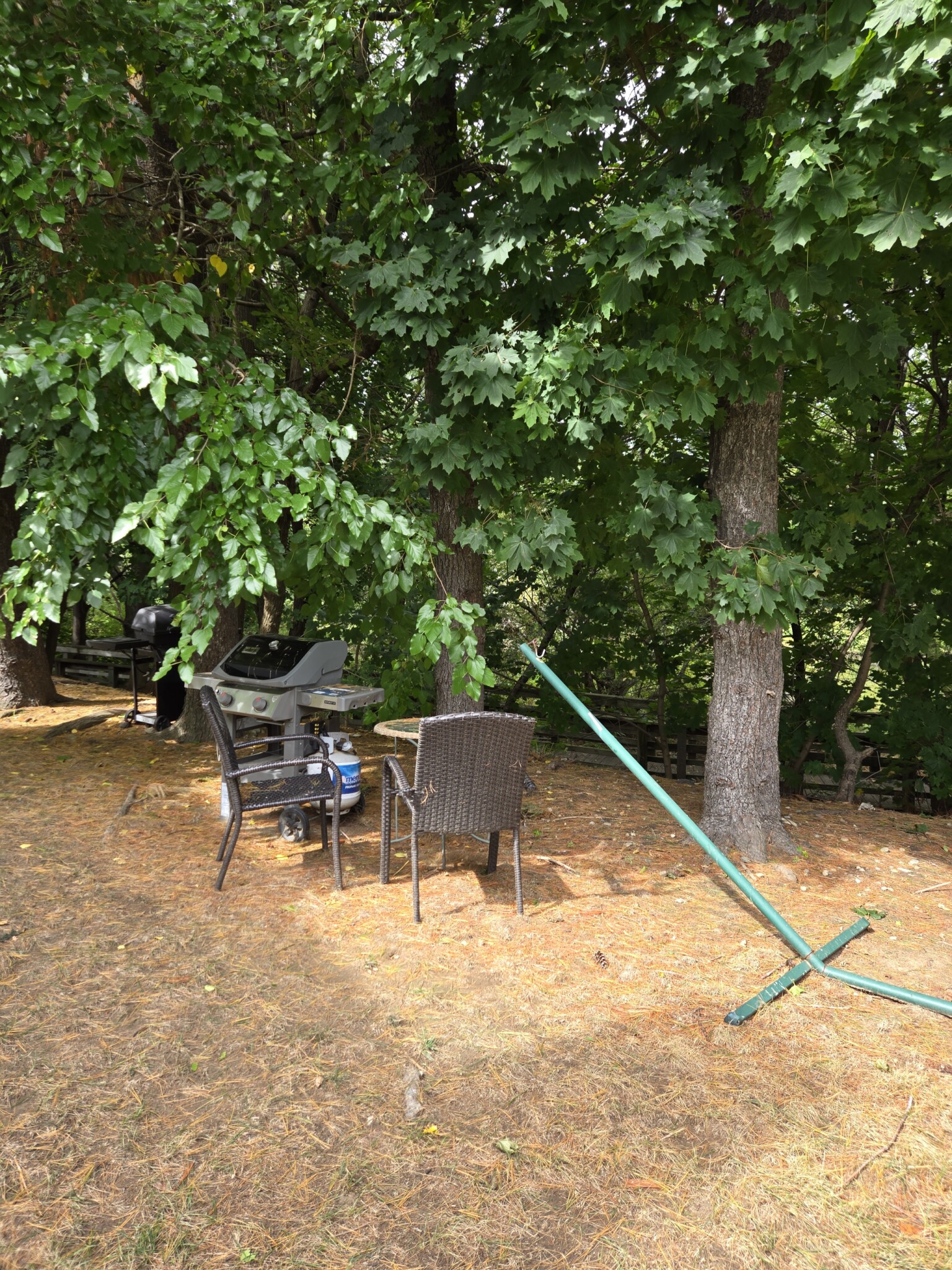 21 Rustic Ave, Newton Corner