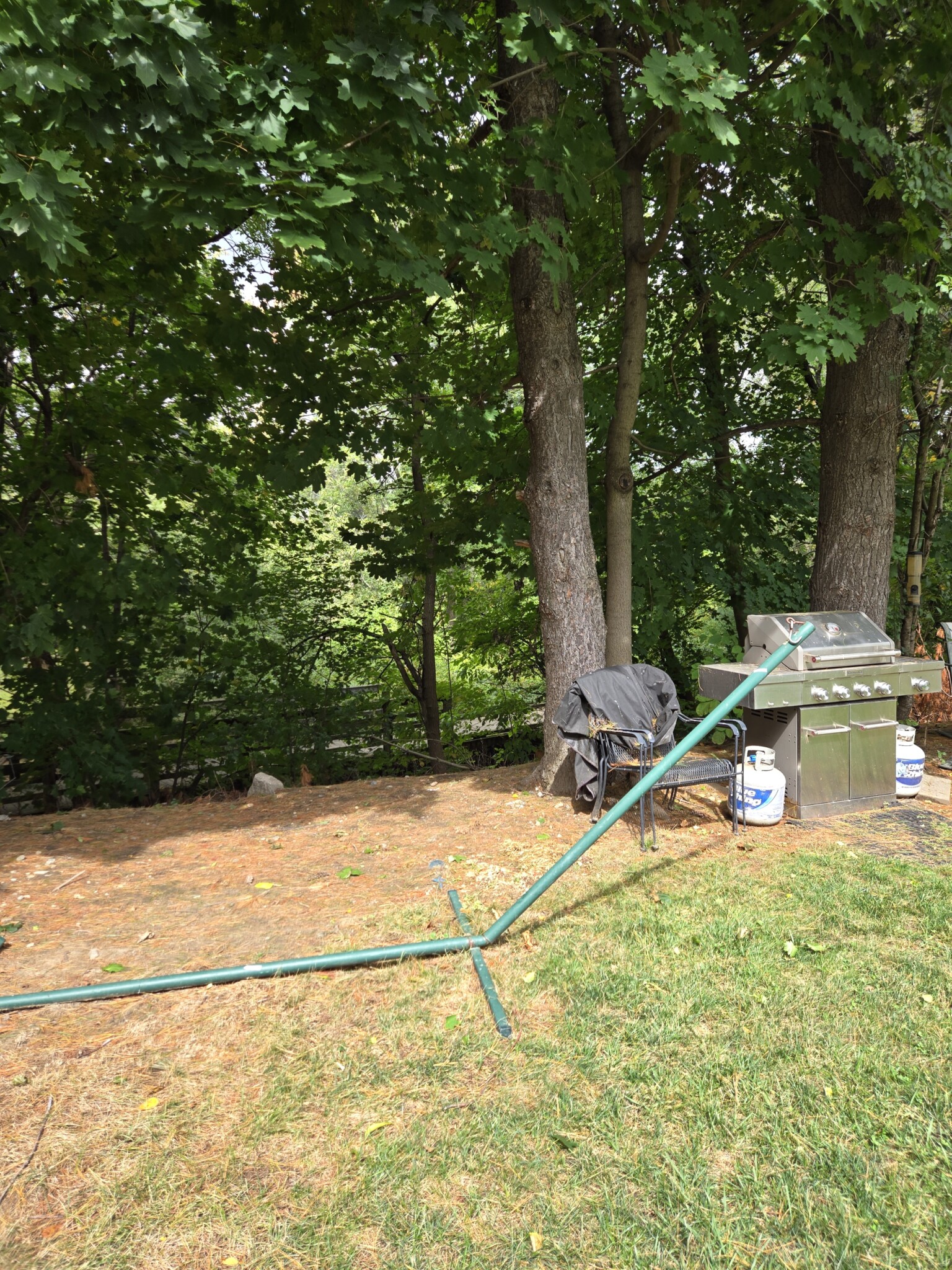 21 Rustic Ave, Newton Corner