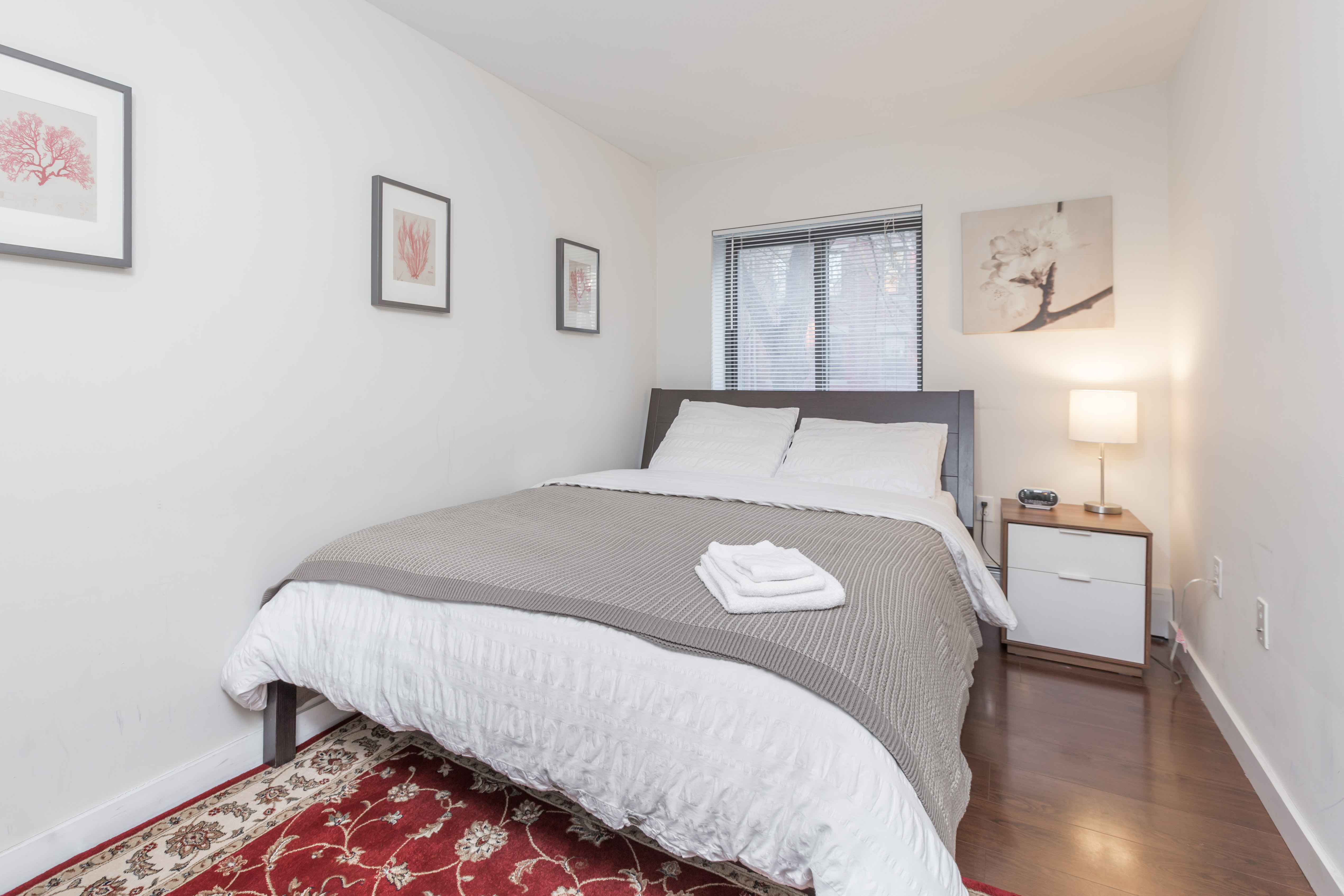 14-16 East Springfield St, South End