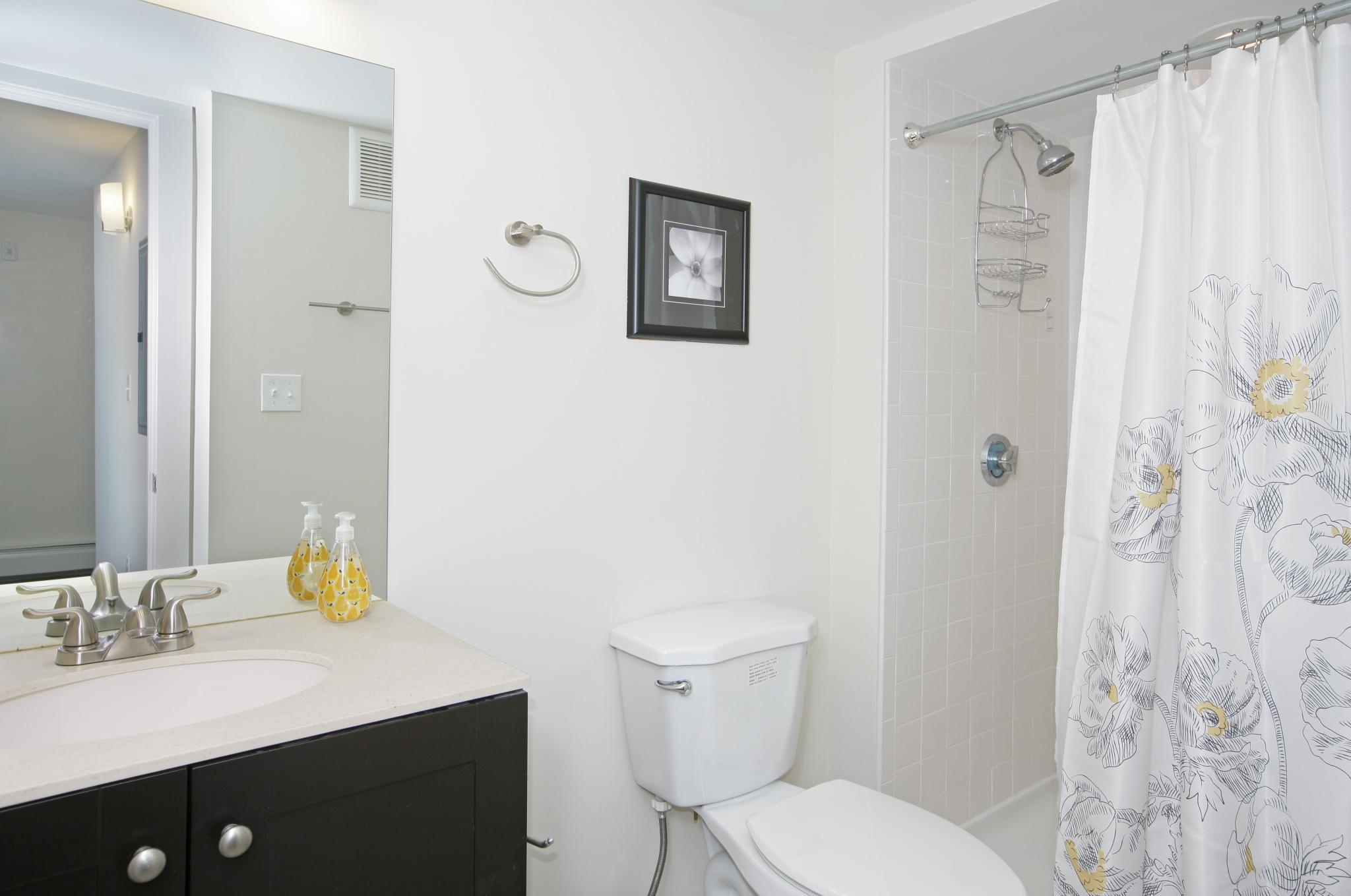 16 East Springfield St, South End