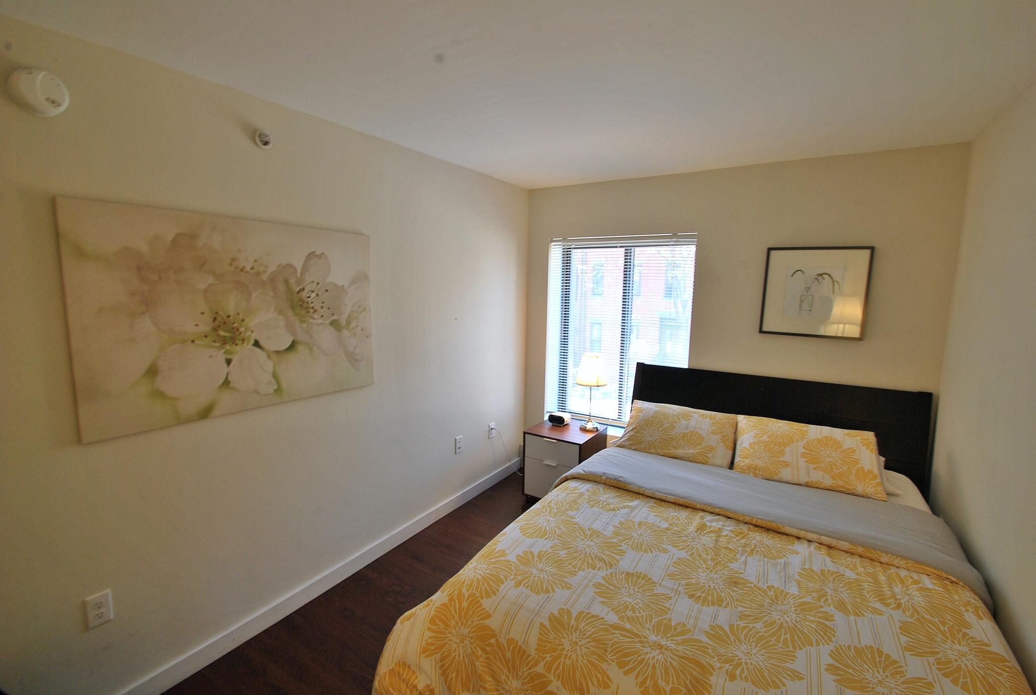 16 East Springfield St, South End