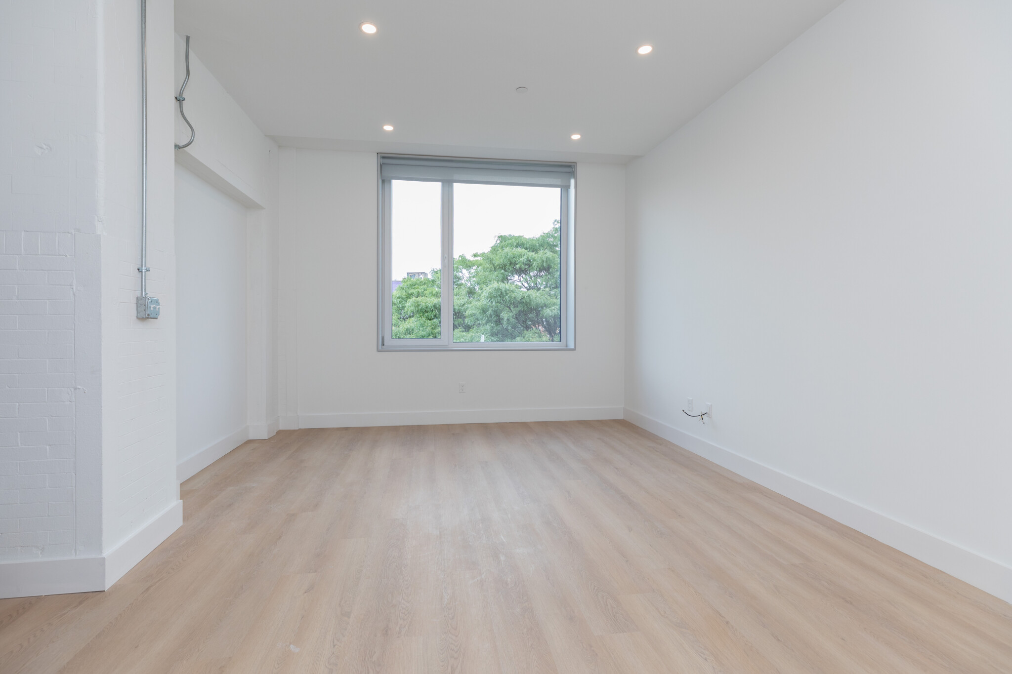 1127 Harrison Ave, Roxbury