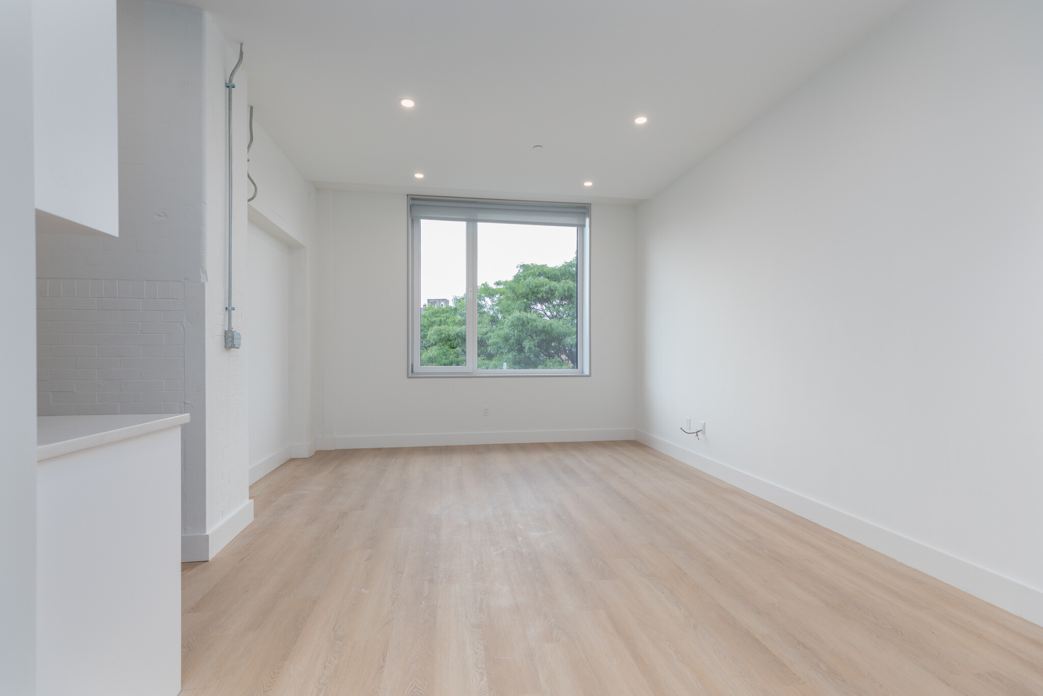 1127 Harrison Ave, Roxbury