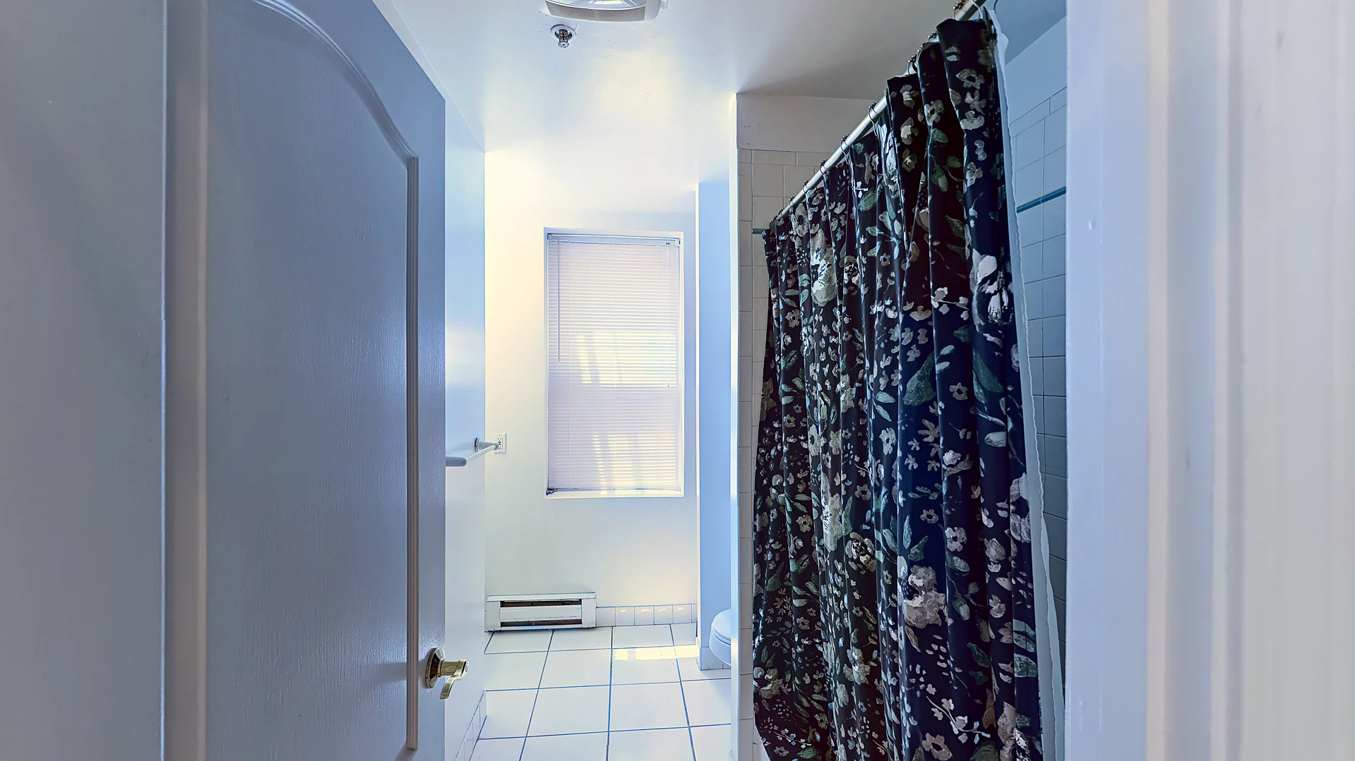 91 Prince St, North End