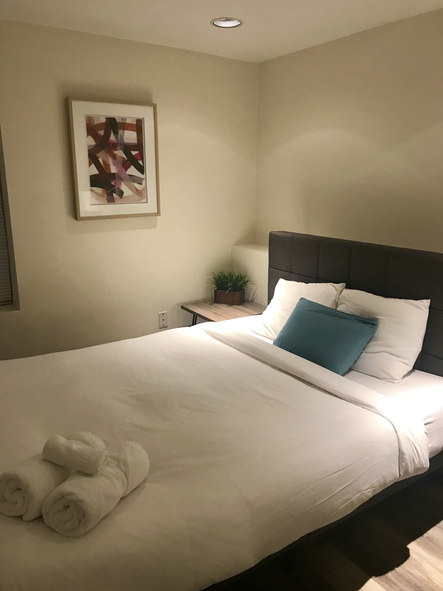 91 Prince St, North End