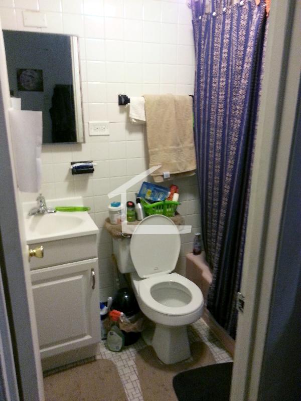 153 Brighton Ave, Brighton