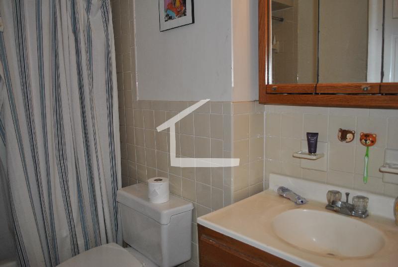 51 Anderson St, Beacon Hill