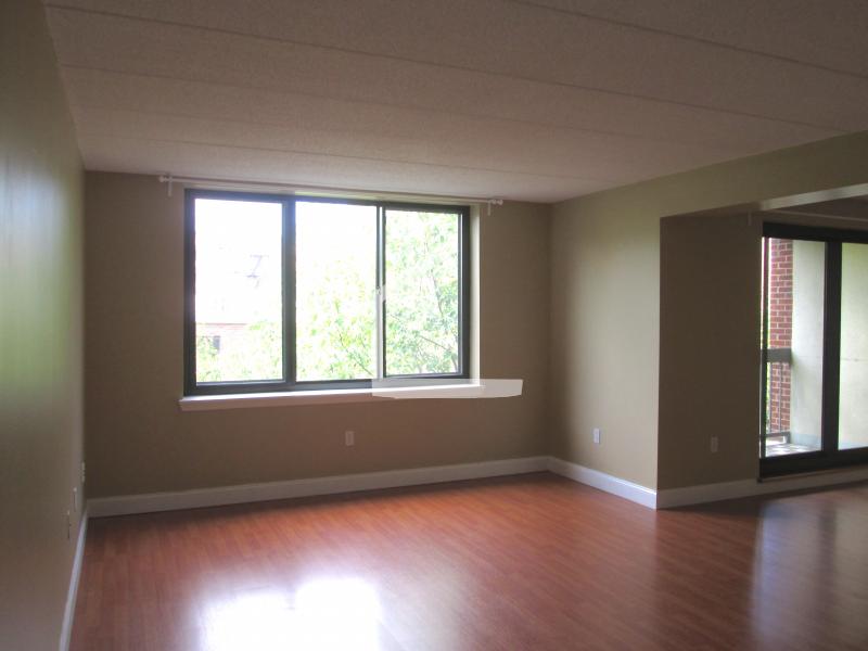 85 Brainerd Rd, Brighton