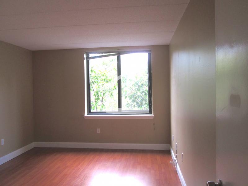 85 Brainerd Rd, Brighton