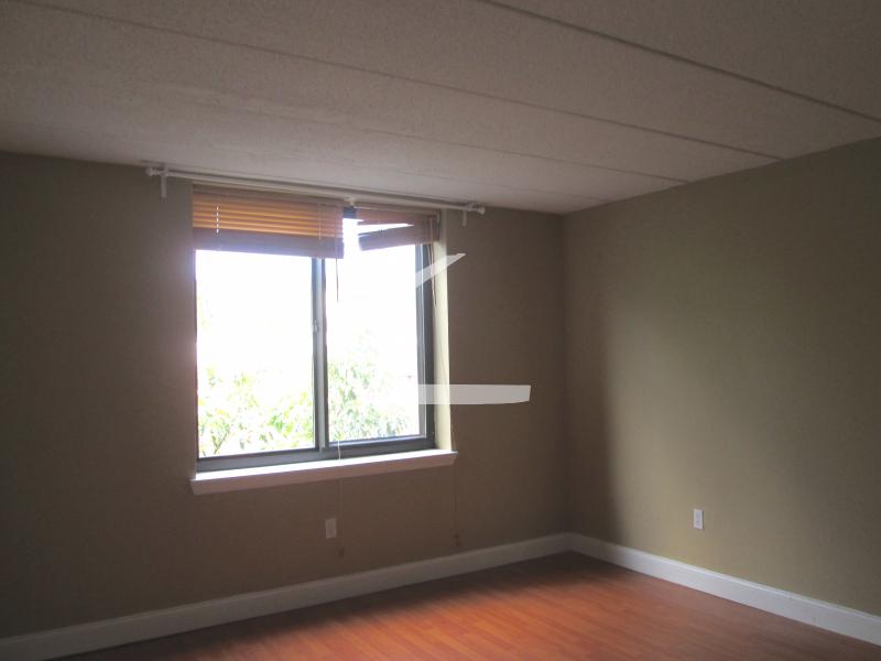 85 Brainerd Rd, Brighton