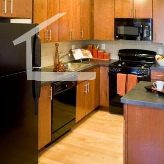 10 Camelot Ct, Brighton