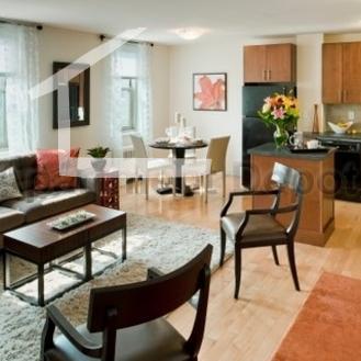 10 Camelot Ct, Brighton