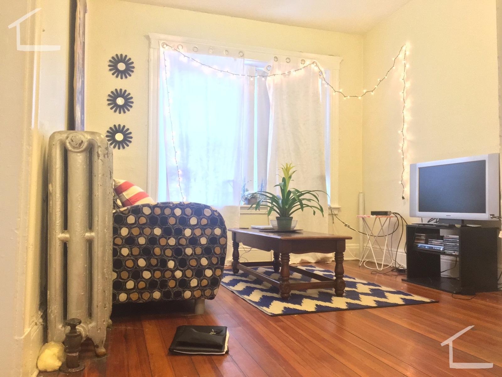 19 Mount Hood Rd, Brighton