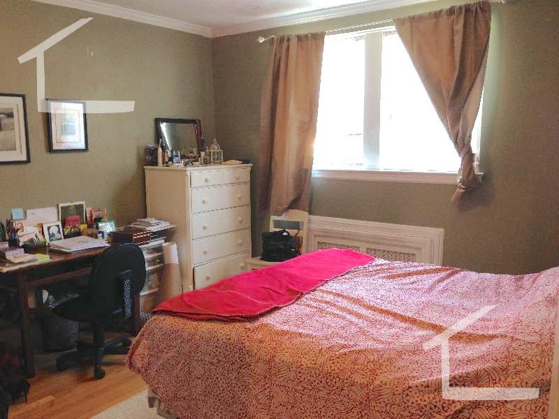 251 Kelton St, Brighton