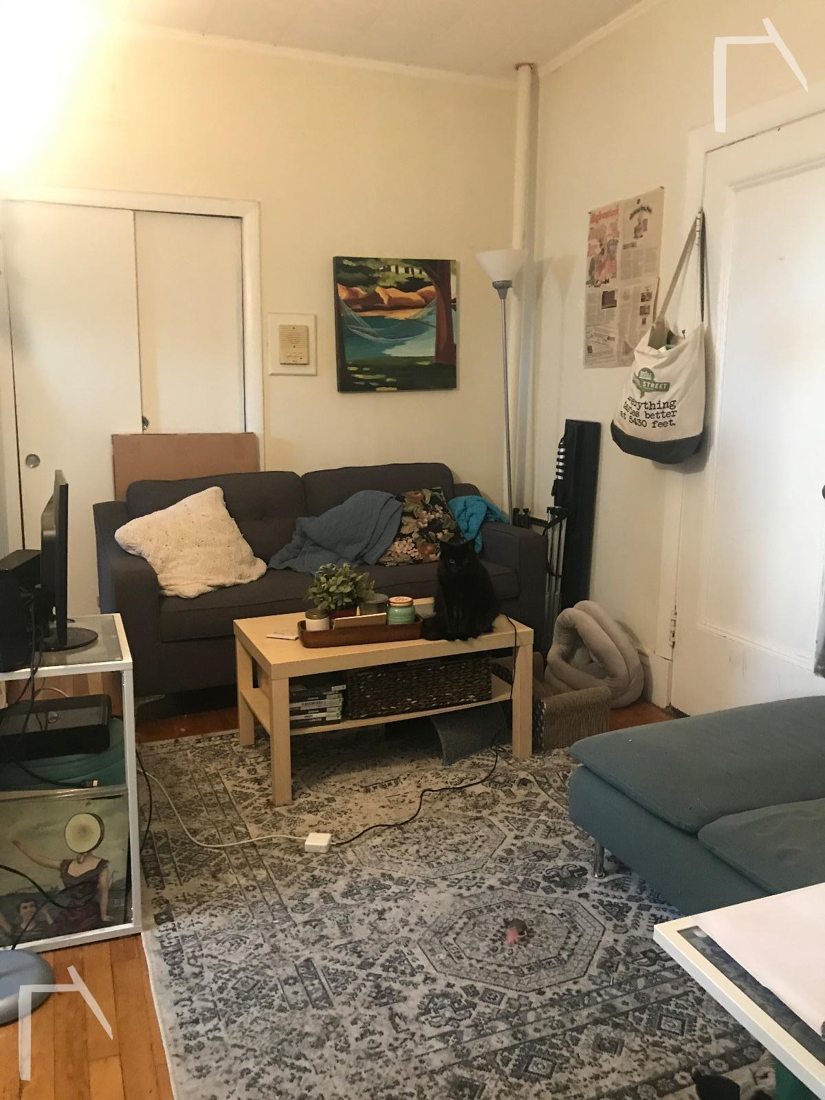 126 Warren St, Brighton