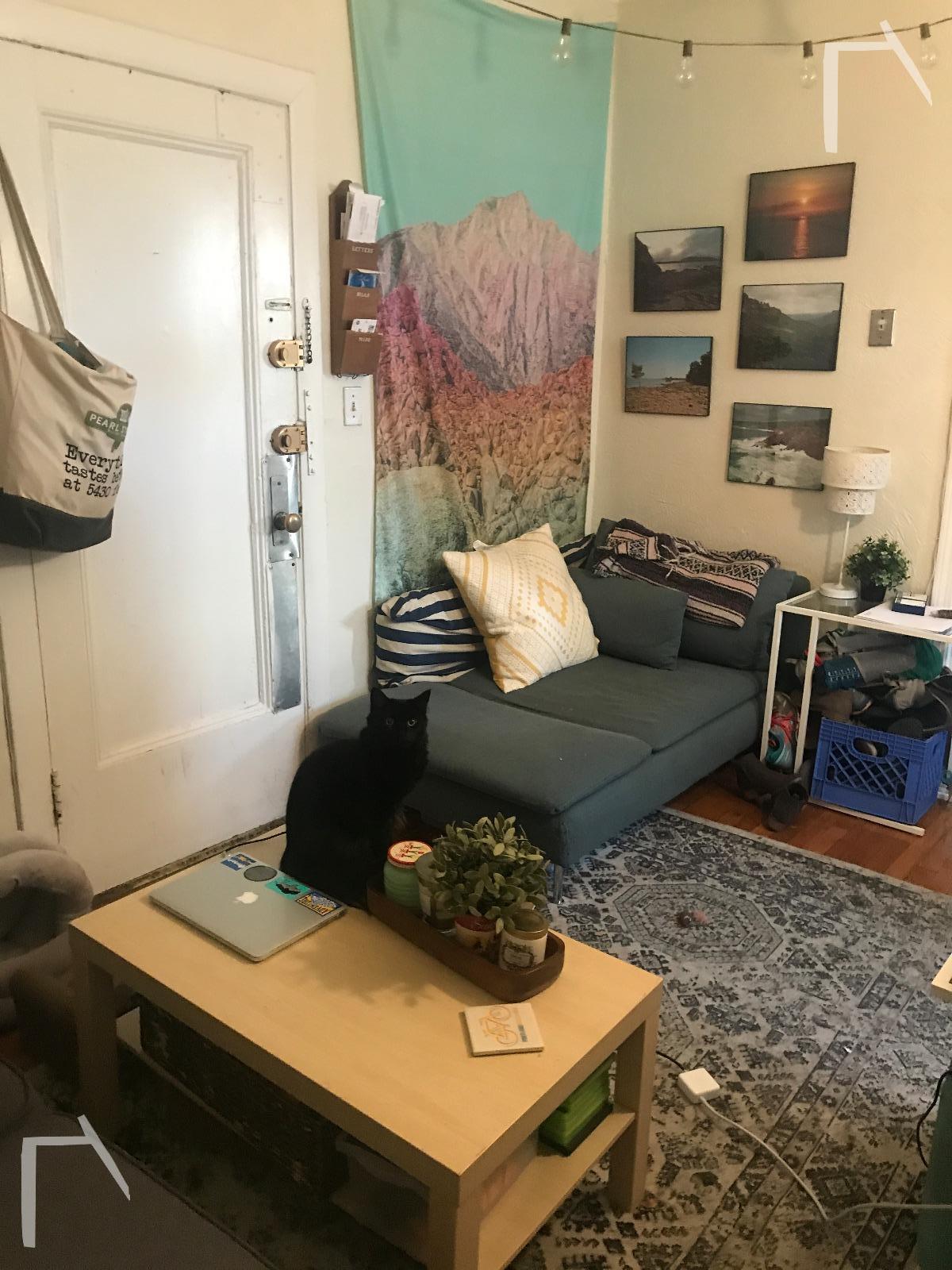 126 Warren St, Brighton