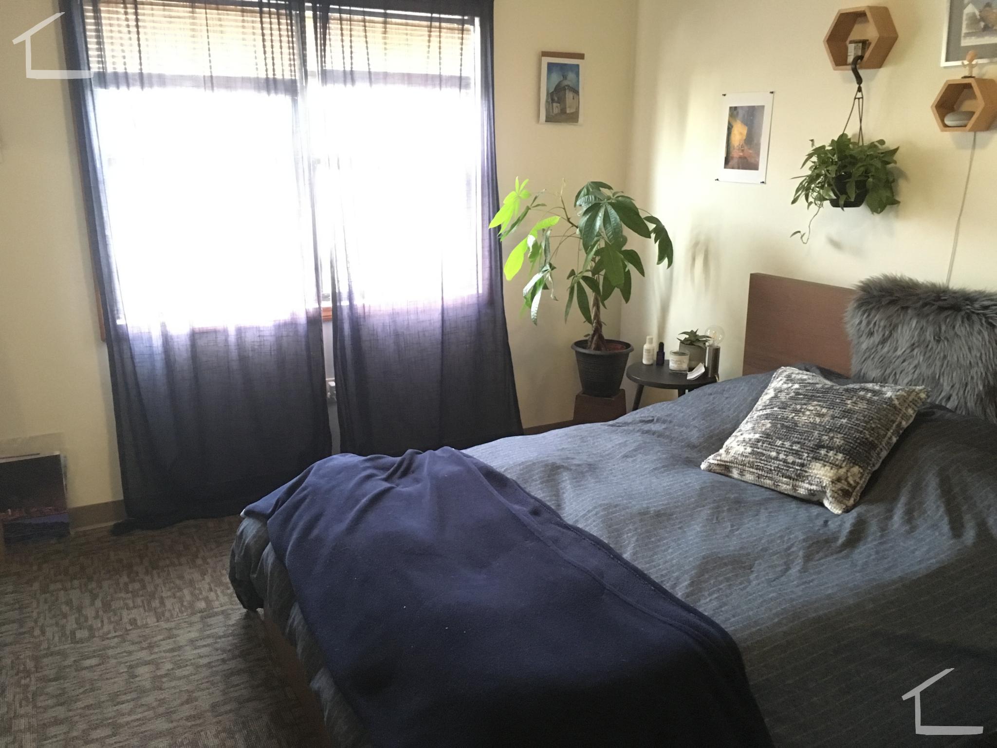 3 Darling St, Mission Hill