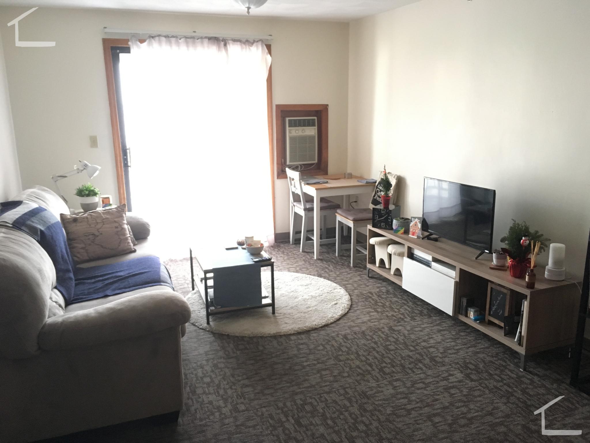 3 Darling St, Mission Hill